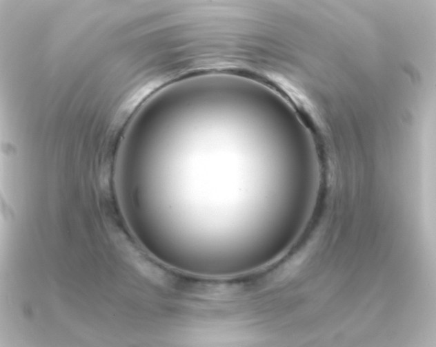 X0000091241273200708091429