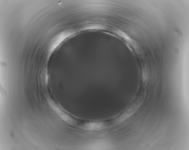 X0000091241274200708091429