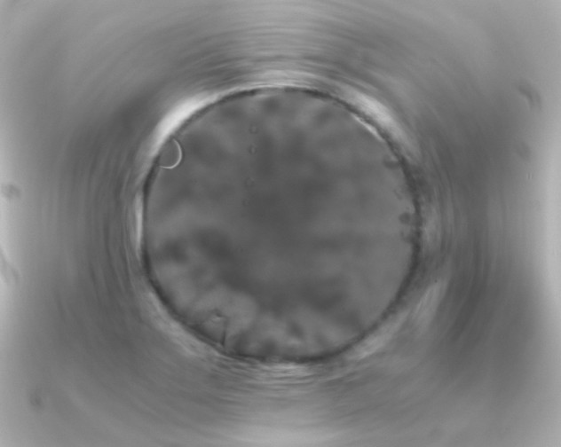 X0000091241275200708091429