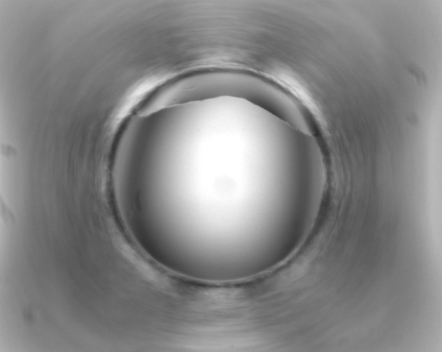 X0000091241277200708091429