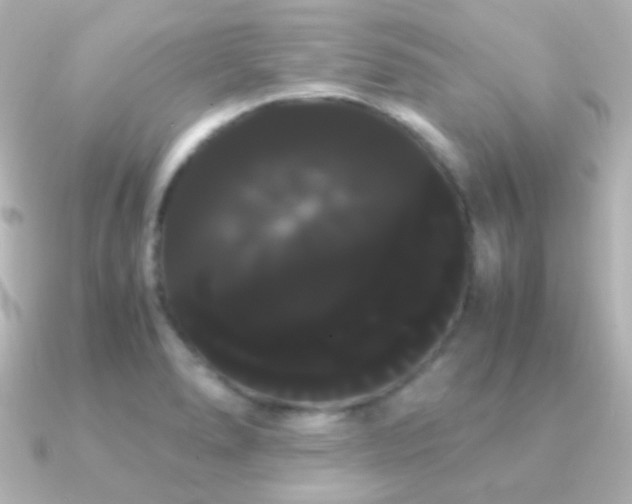 X0000091241278200708091429