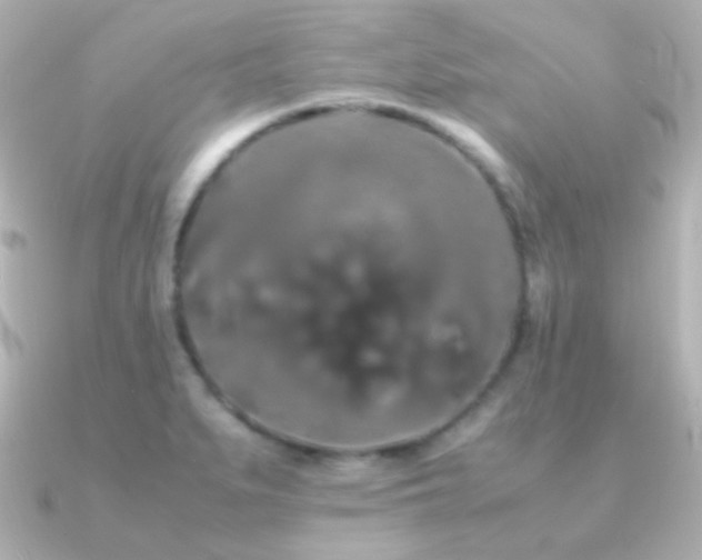 X0000091241279200708091429