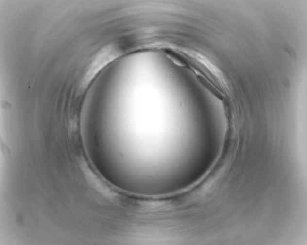 X0000091241281200708091429