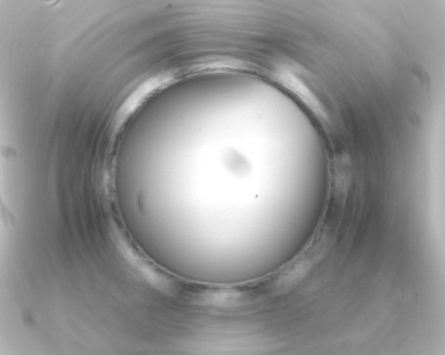 X0000091241282200708091429