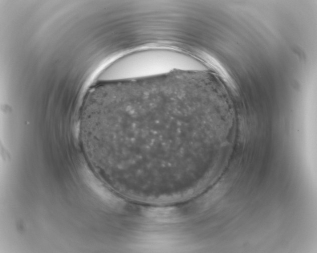 X0000091241284200708091429