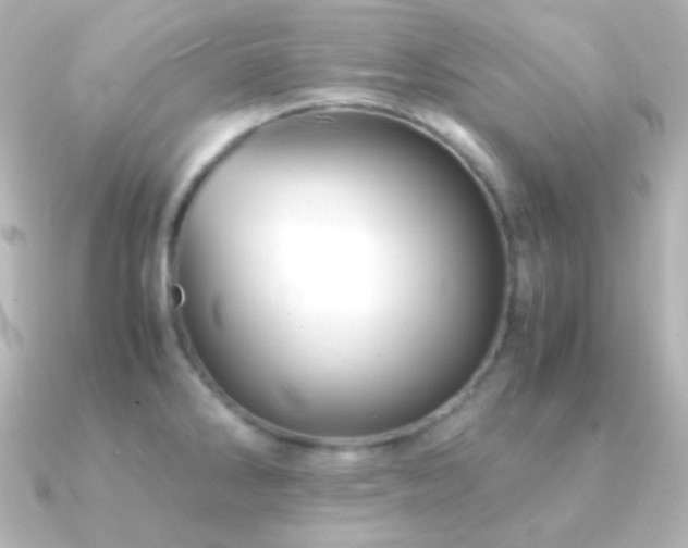 X0000091241286200708091429