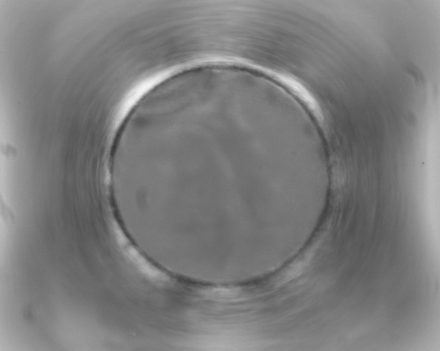 X0000091241287200708091429