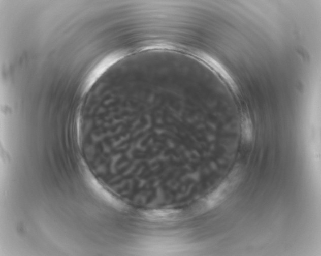 X0000091241290200708091429