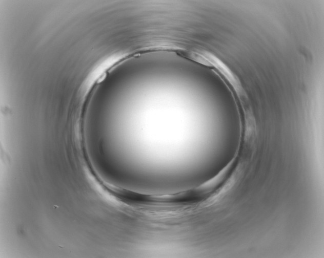 X0000091241293200708091429