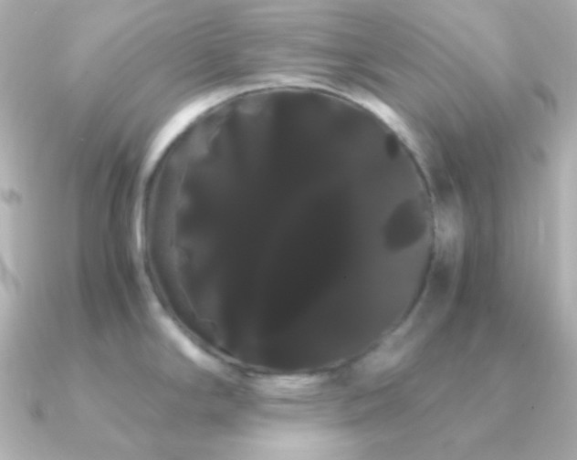 X0000091241294200708091429