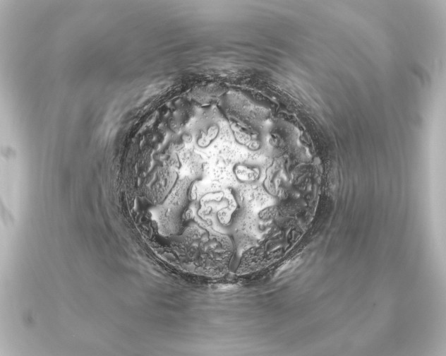 X0000091241297200708091428