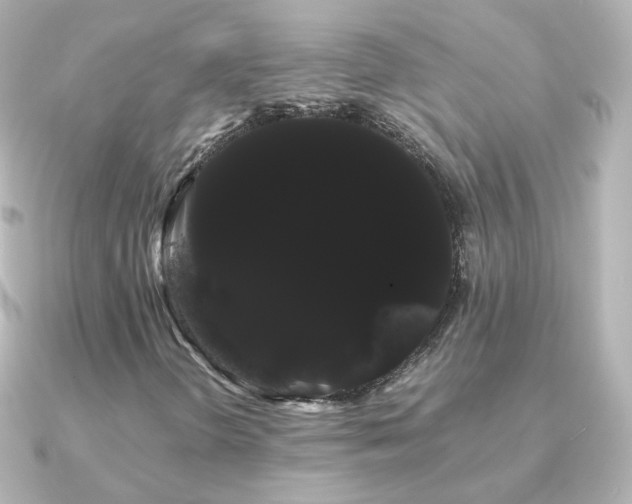 X0000091241298200708091428