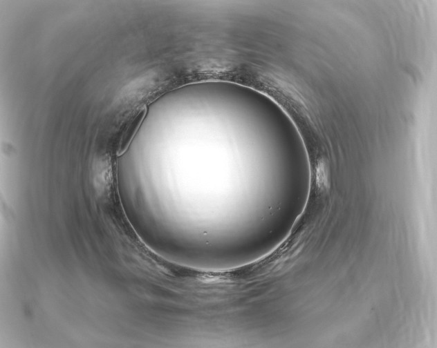 X0000091241299200708091428