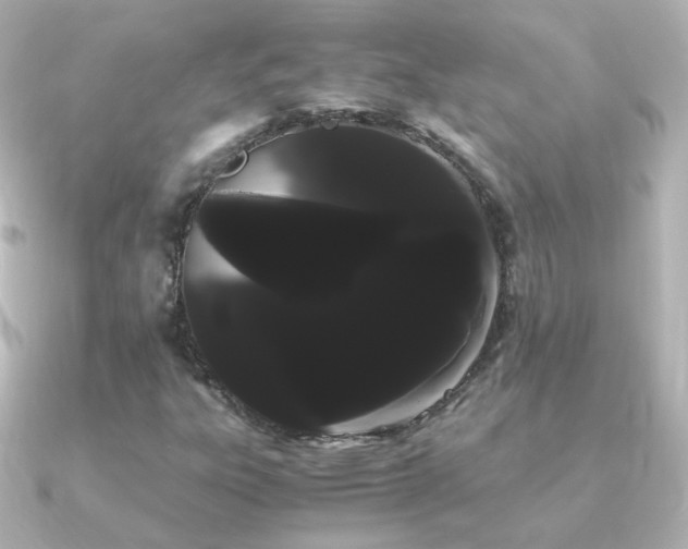 X0000091241303200708091428