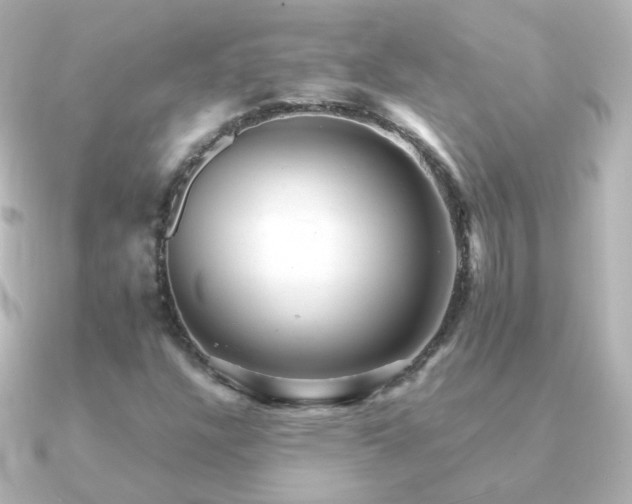 X0000091241304200708091428