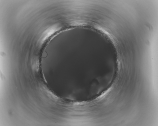 X0000091241306200708091428