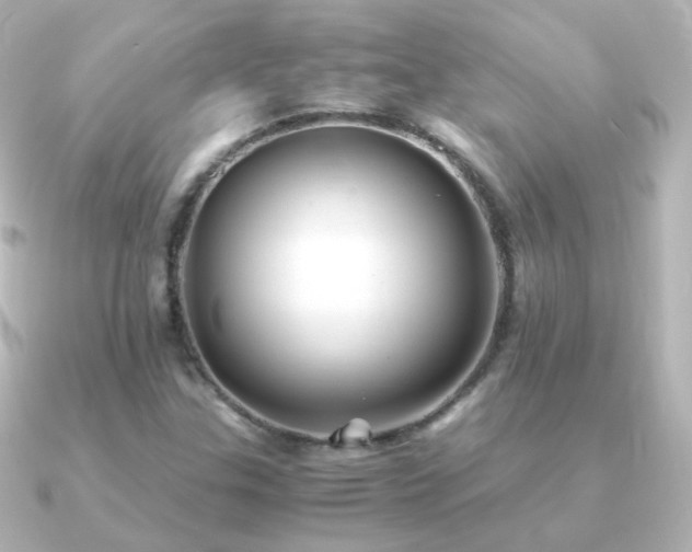 X0000091241307200708091428