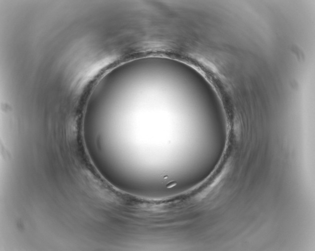 X0000091241309200708091428