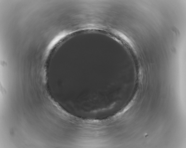 X0000091241310200708091428