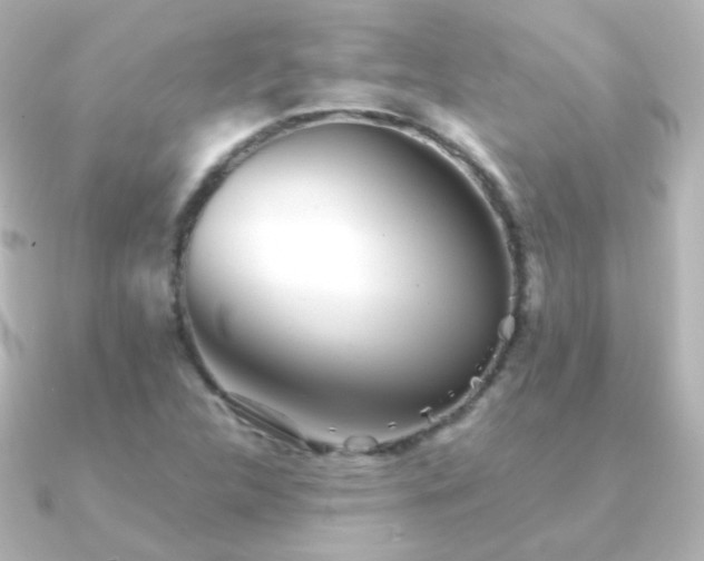 X0000091241312200708091428