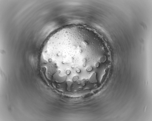 X0000091241313200708091428