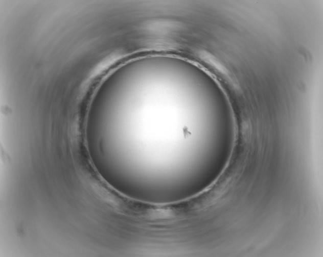 X0000091241315200708091428