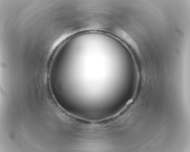 X0000091241316200708091428
