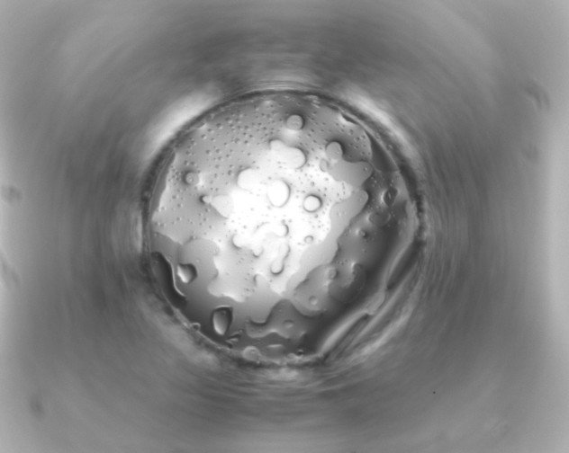 X0000091241317200708091428