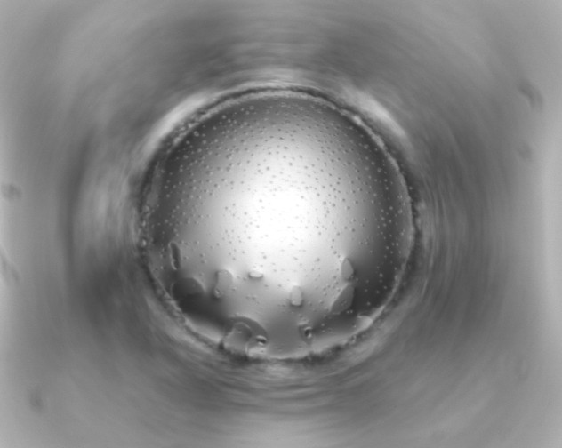X0000091241318200708091428