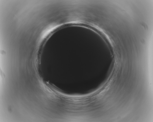 X0000091241319200708091428