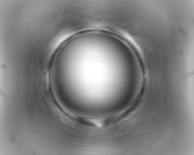 X0000091241320200708091428