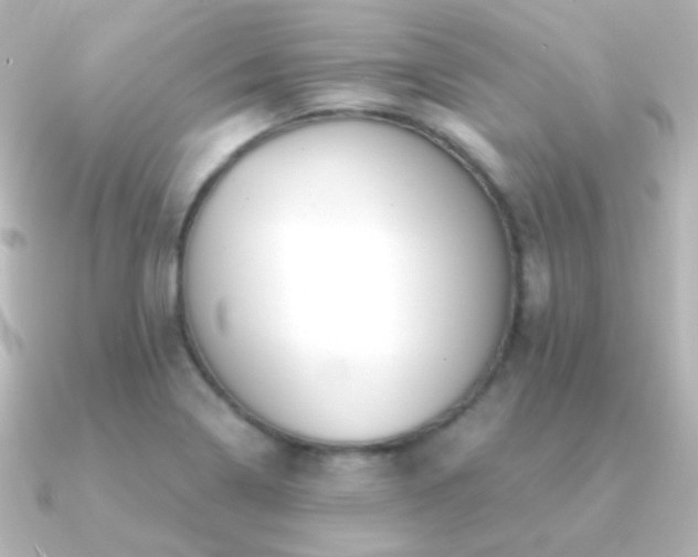 X0000091241322200708091428