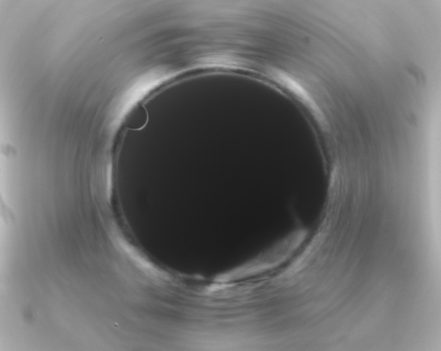 X0000091241323200708091428