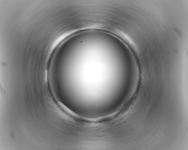 X0000091241324200708091428