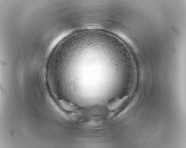 X0000091241325200708091428