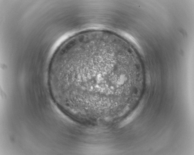 X0000091241326200708091428