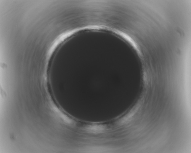 X0000091241327200708091428