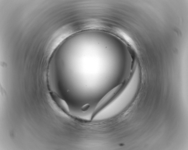 X0000091241330200708091428
