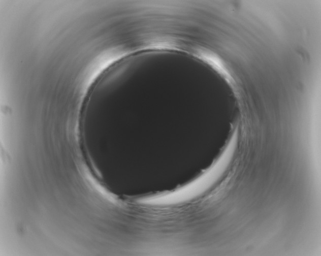 X0000091241331200708091428