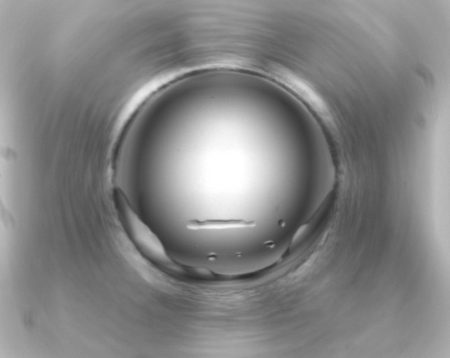 X0000091241332200708091428
