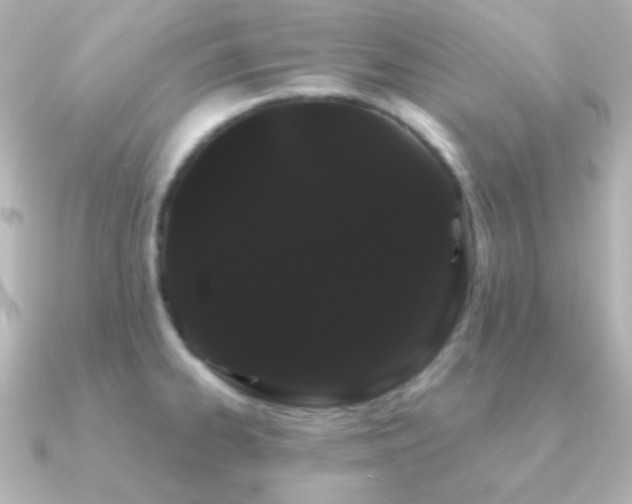 X0000091241334200708091428