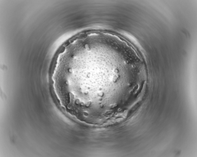 X0000091241335200708091428