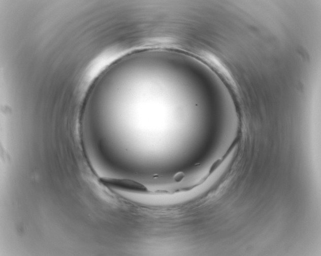 X0000091241336200708091428