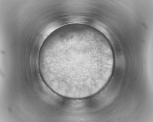 X0000091241338200708091428