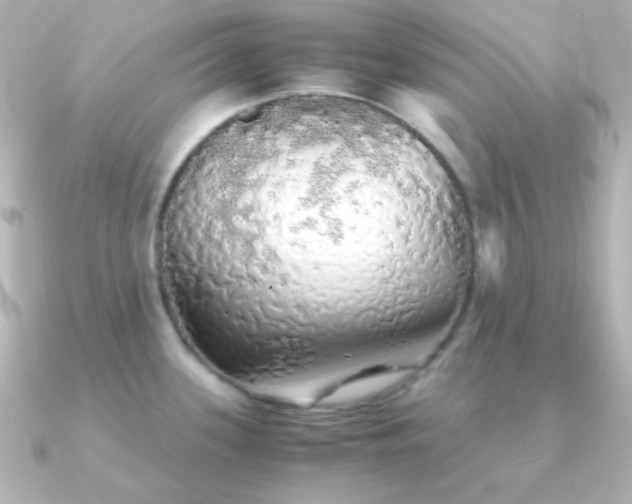 X0000091241339200708091428