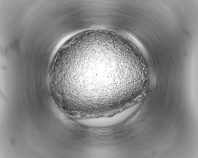 X0000091241340200708091429