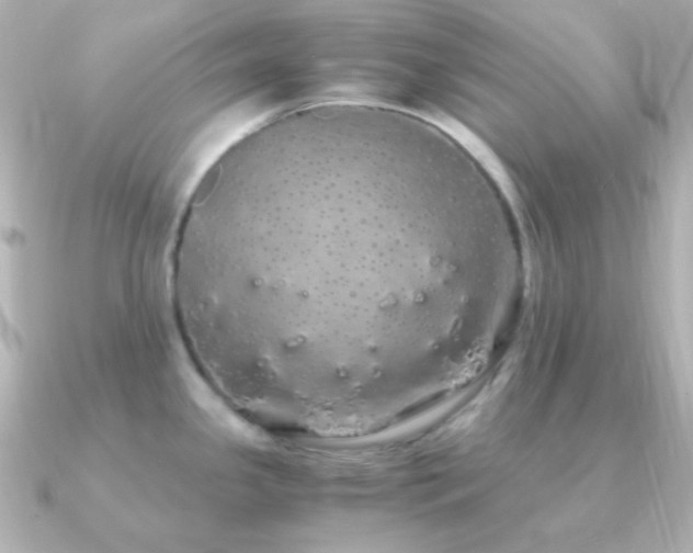 X0000091241341200708091429