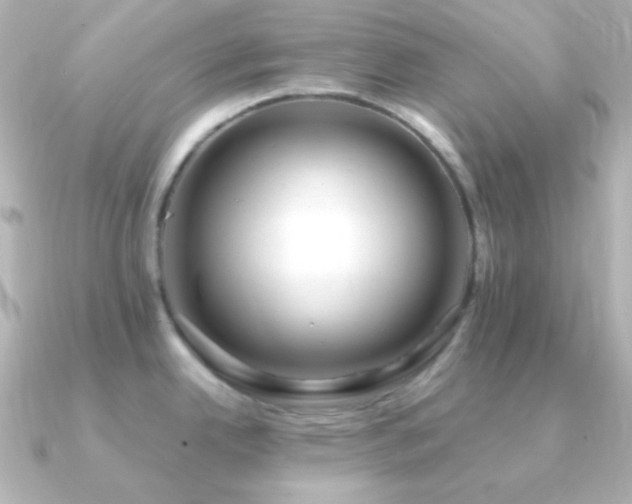 X0000091241342200708091429