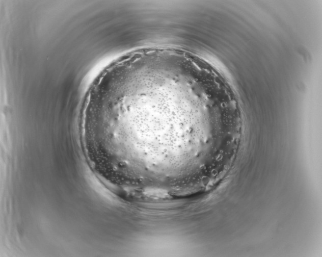 X0000091241344200708091429