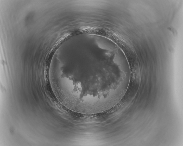 X0000091241346200708091428